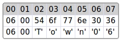 binary dynamic string